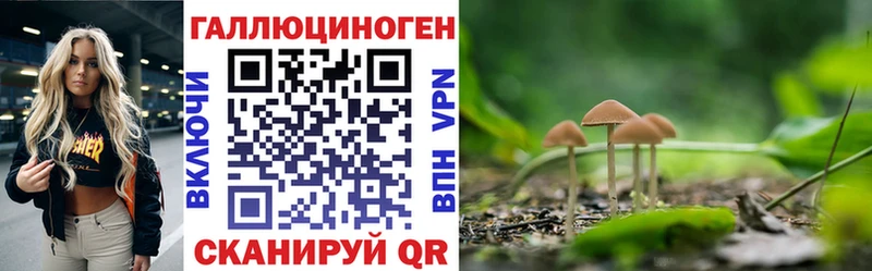 Псилоцибиновые грибы Psilocybine cubensis  где купить   Сухиничи 